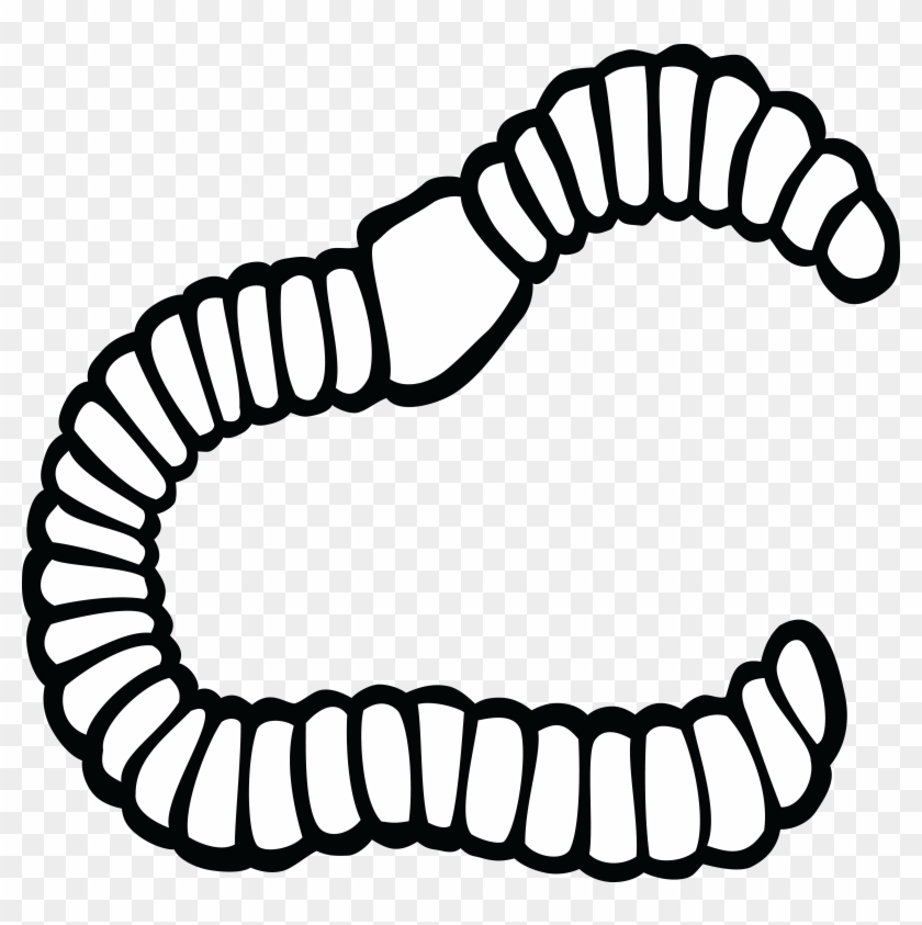 Free Clipart Of A Worm - Republic Day Wheel Png #120524