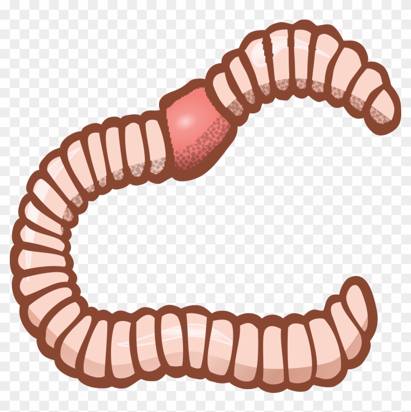 Free Clipart Of An Earthworm - Worm Clipart #120546