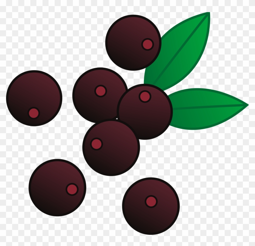 Acai Berries Vector Illustration - Berries Clipart #120558