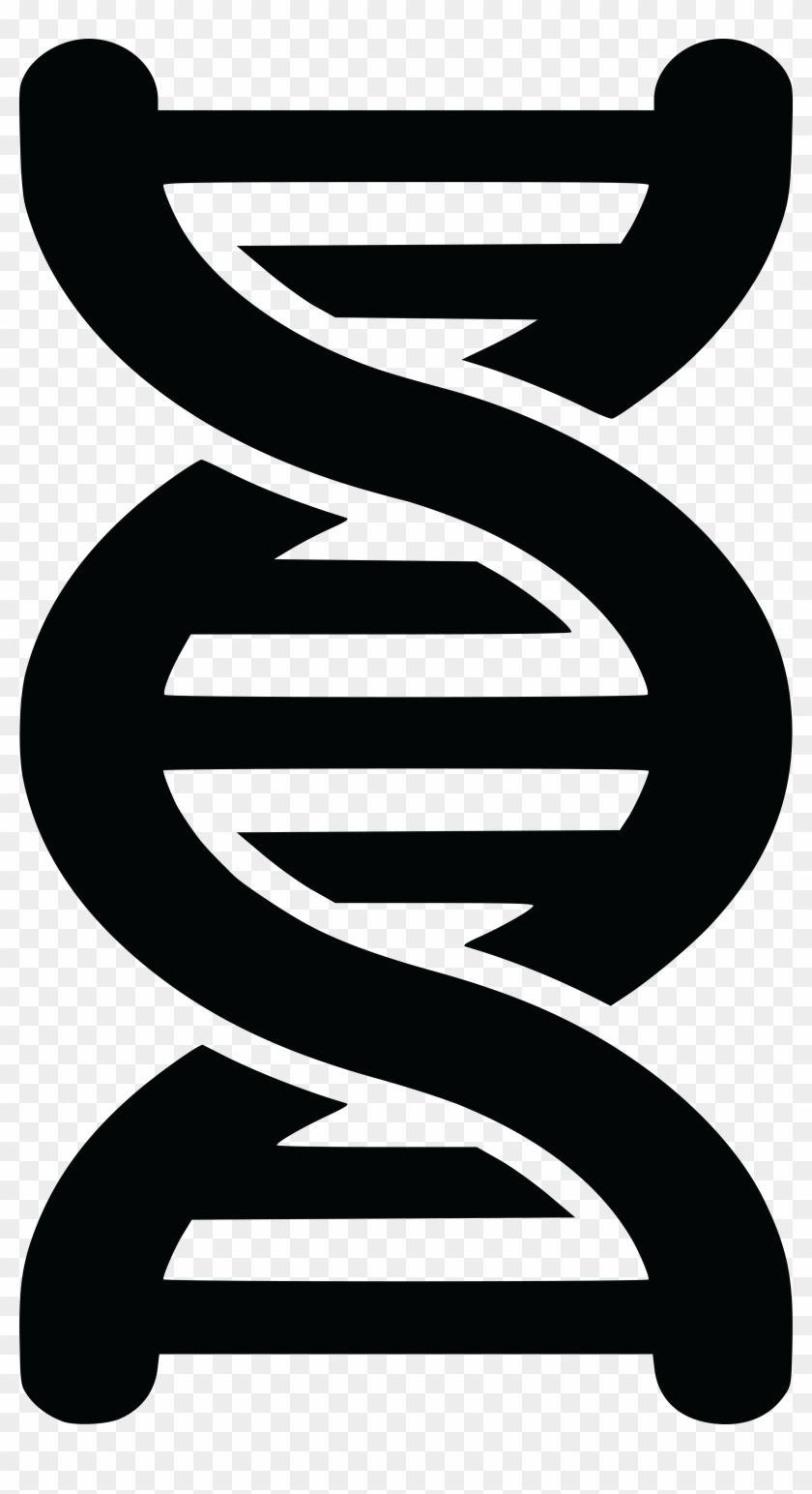 Free Clipart Of A Black And White Dna Strand Double - Double Helix Clipart #120604