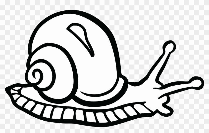 Free Clipart Of A Snail - Snail Black And White #120662