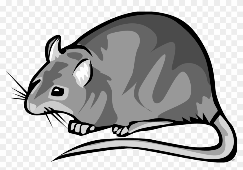 Rat Animal Free Black White Clipart Images Clipartblack - Cactus Consumers #634113