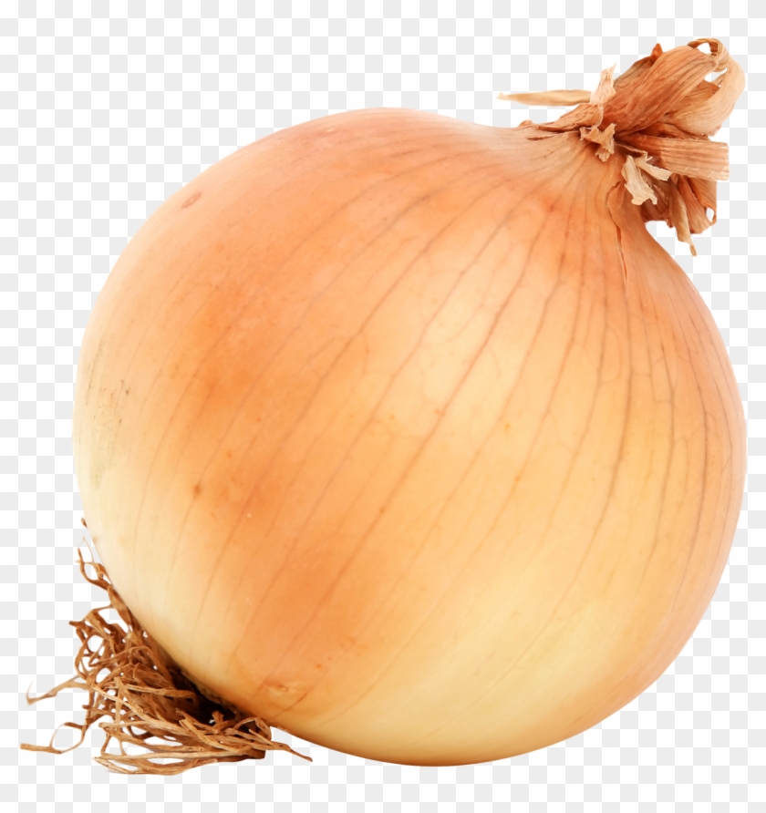 Onion Png Transparent Images - Baby At 17 Weeks #634131