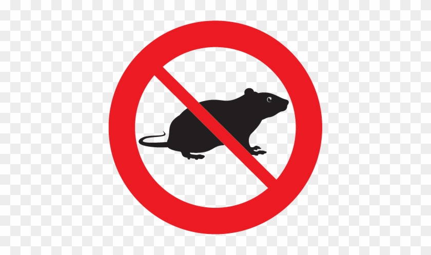 Rats And Mice Spread Disease, Cause Foul Odours, And - Rats Pest Control #634137