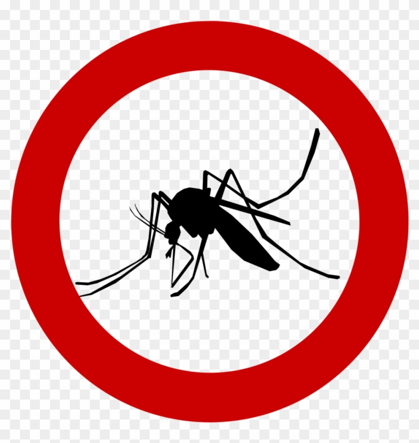 Mosquito Png 7, Buy Clip Art - No Cats Allowed Sign #634144