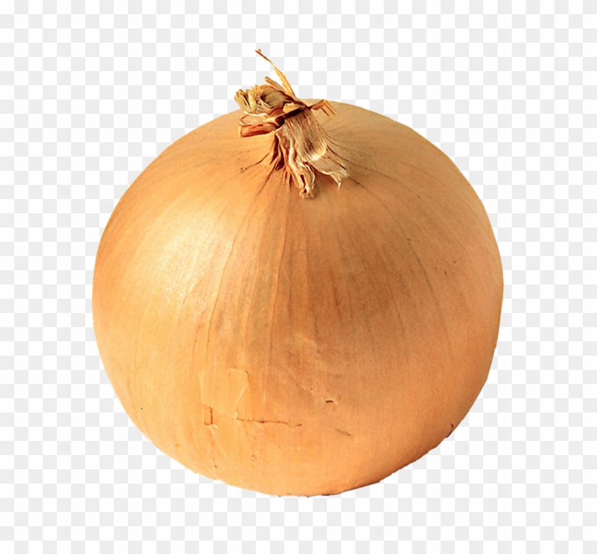 Onion Png Image, Free Download Picture - White Onion #634156