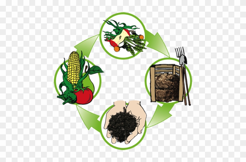 Through Combining Some Of The Organic Waste You Produce - Cycle Du Compost #634633