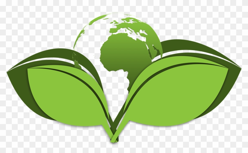 An Eco-friendly Dental Practice - Eco Friendly #634717