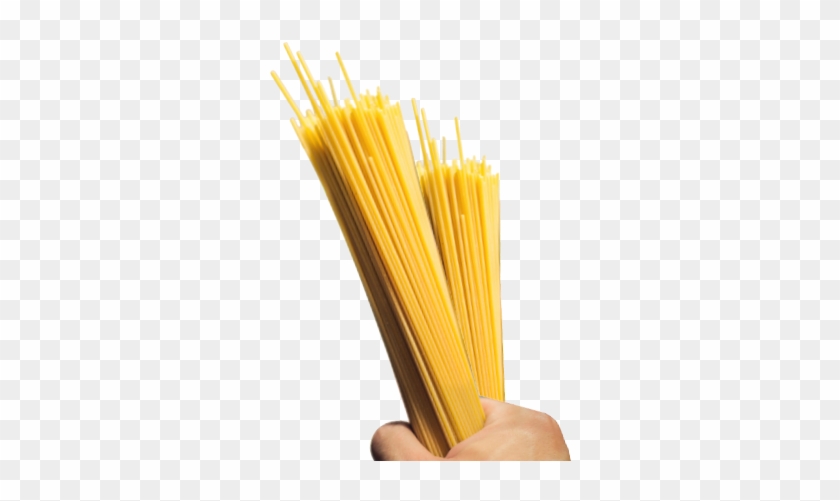 Pasta Spaghetti - Pasta #635260