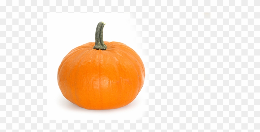 Pumpkin #635416