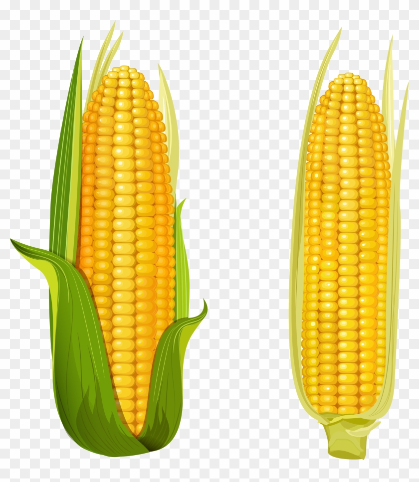 Яндекс - Фотки - Corn Illustration Vector #635578