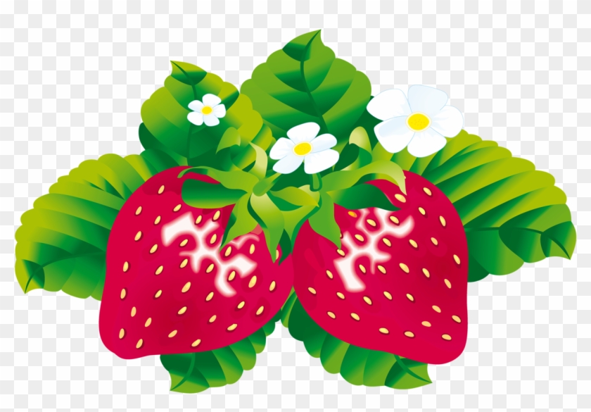 Strawberries - Strawberry Flower Cartoon #635588