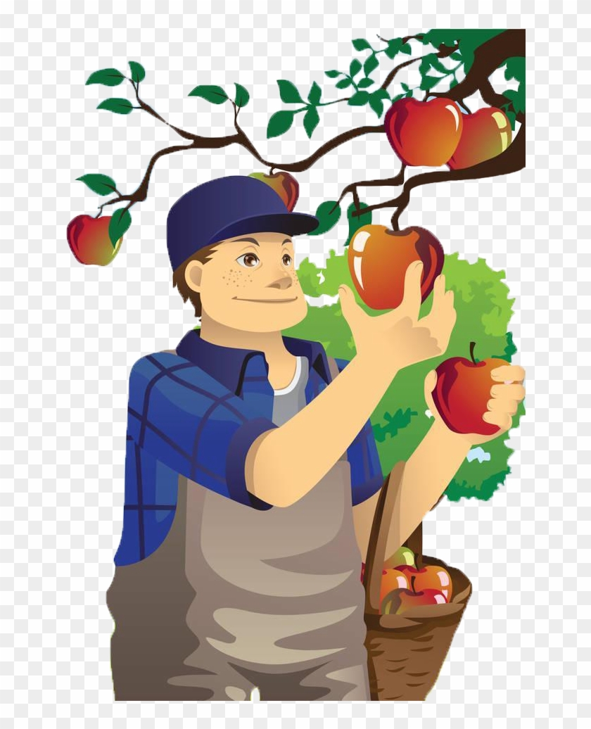 Fruit Picking Orchard Apple Farmer Clip Art - Fruit Picking Orchard Apple Farmer Clip Art #635832