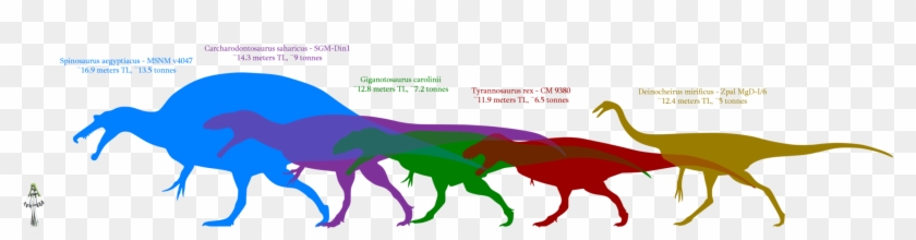 Jul 4 2013, - Spinosaurus Size Comparison #635997