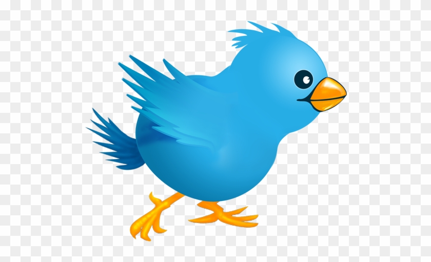 Twitter Bird - Funny Twitter #636025