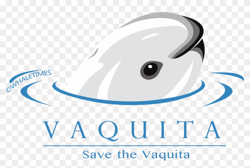 Save The Vaquita Month Are A Collaborative Effort Of - Save The Vaquita Month #636275