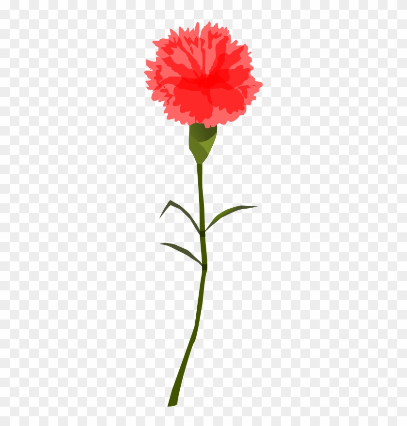 Carnation Clipart Free For Download - Carnation Png Transparient #636647