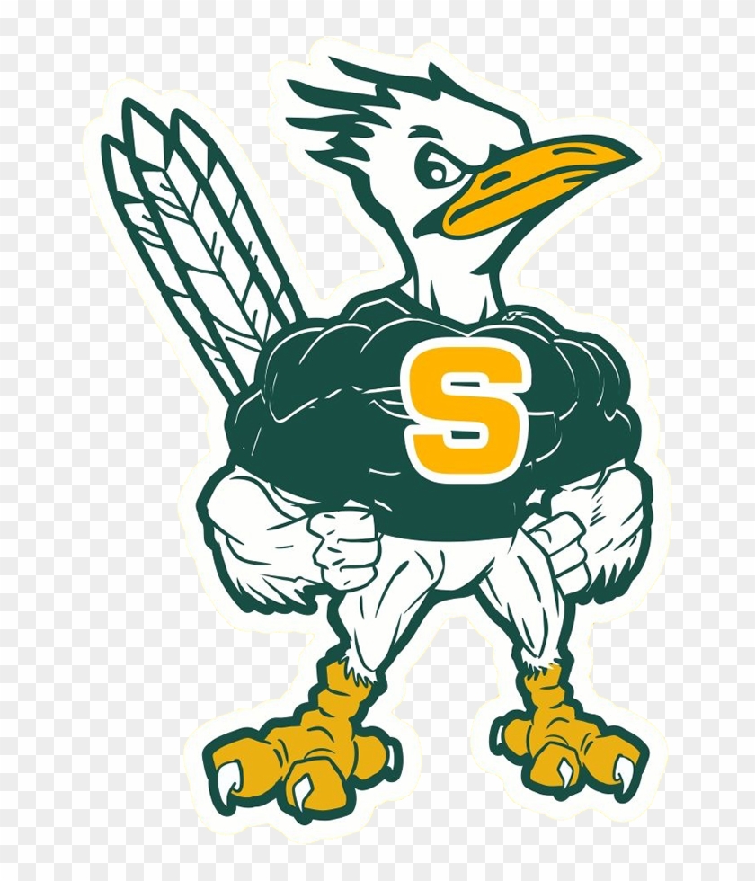 Interested In Swim - Saddleback High School Logo #637669