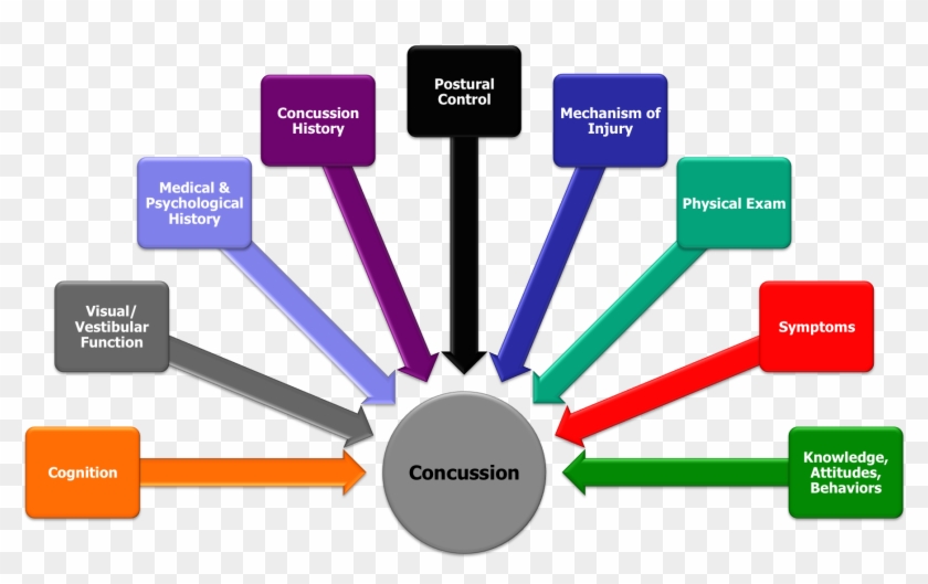 Multifaceted Fig2 - Risk Factors Of A Concussion #637741
