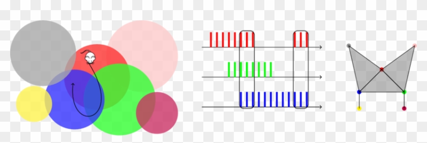 As The Animal Moves Along The Indicated Path , We Might - Diagram #637817