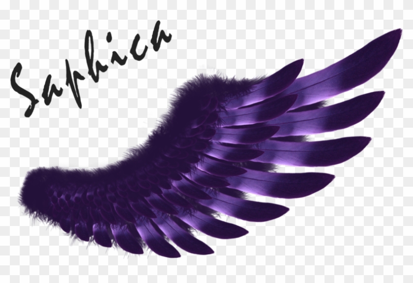 Wing Logo Purple Clip Art - Wing Logo Purple Clip Art #638390