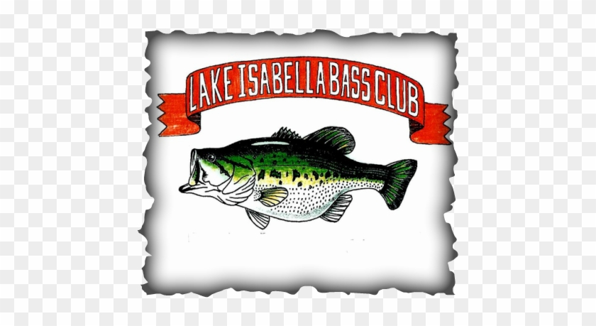 The Lake Isabella Bass Club Principle Is Based On Social - Colegio De San Francisco Javier Palompon Leyte #638385