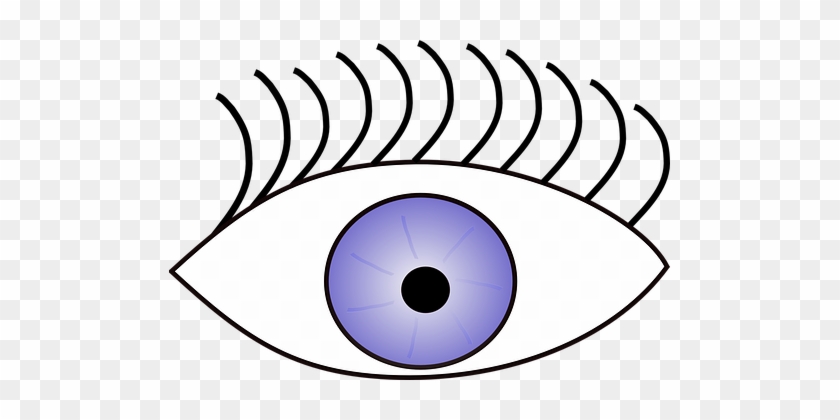 Eye, Eyelashes, Open, Eyelid, Vision - Eye Clip Art #638493