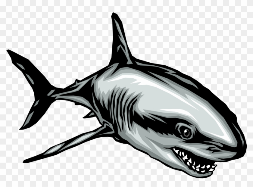 Shark Fish Clipart Png Free Download - Shark #638556