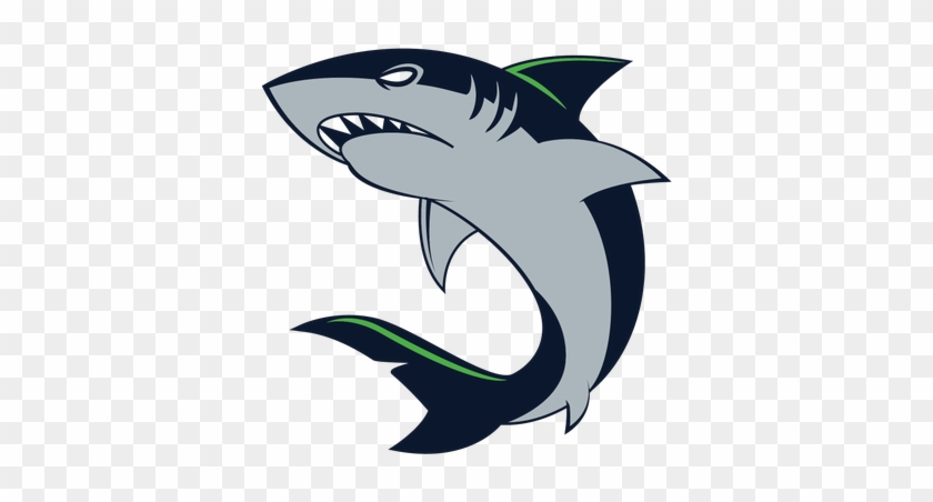 California Sharks - Mako Shark Vector #638558