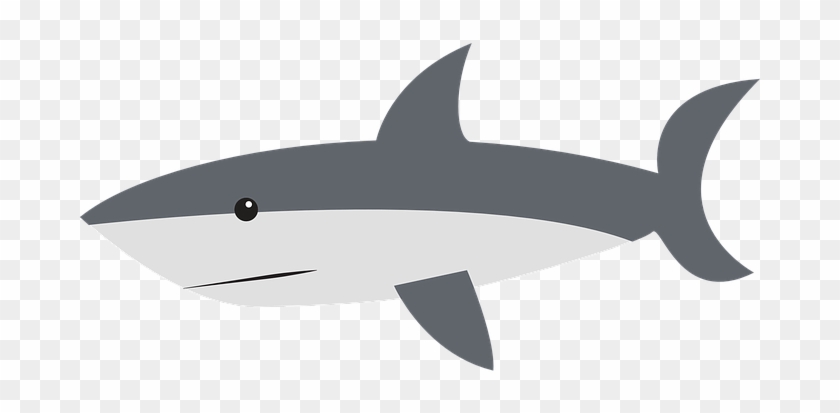 Shark Side Swimming Fin Animal Gray Shark - Shark Clipart #638568