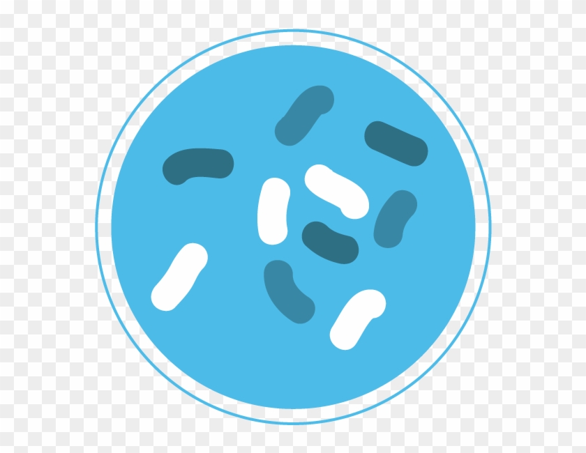 Bacterial Genome Sequencing - Bacteria Icon Png #639339