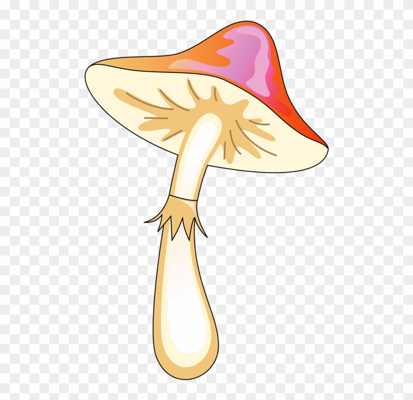 Mushroom - Vector Mushroom #639484