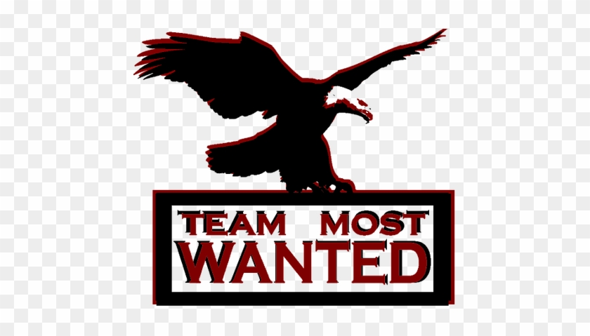 Team Most Wanted - Buzzard #639497