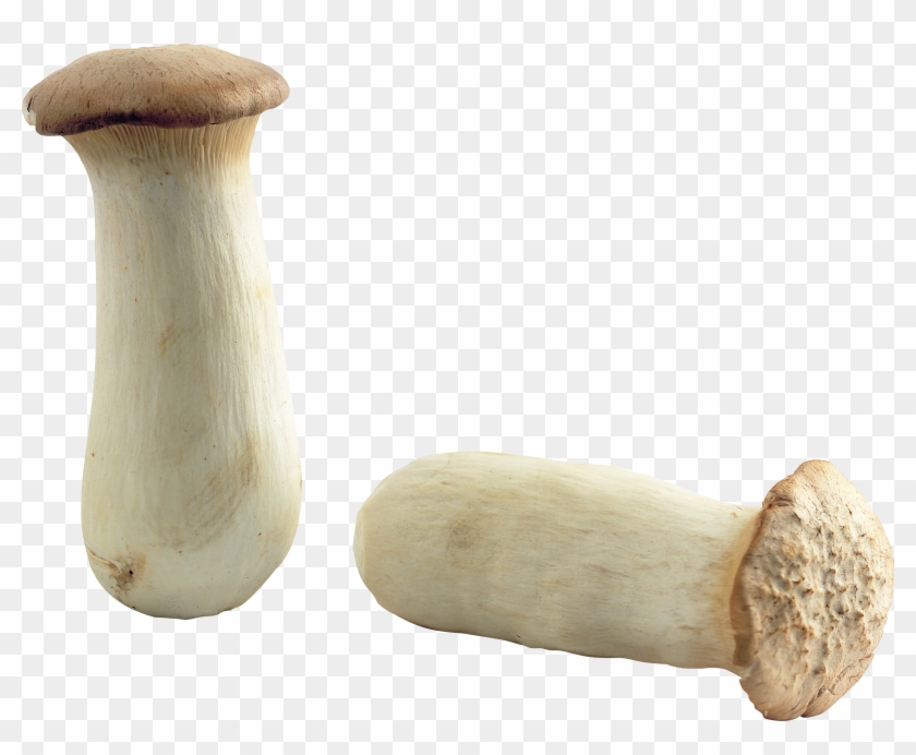 Mushroom Png Image - Mushroom #639578