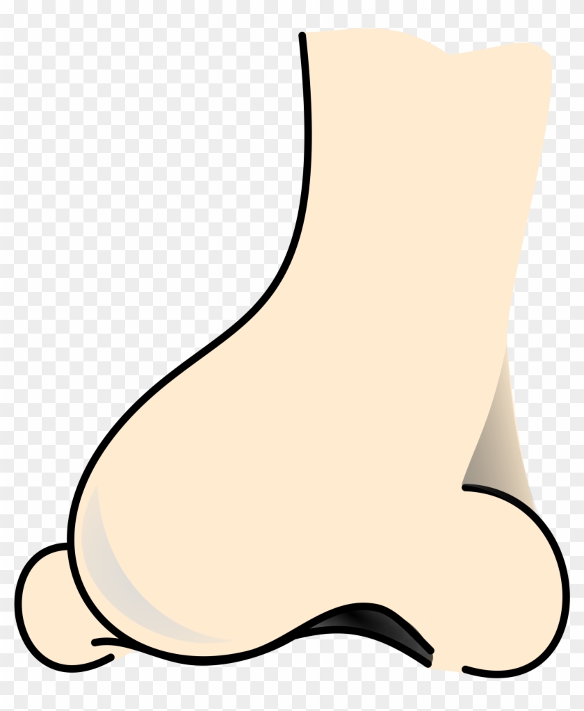 Big - Clip Art Colored Nose #640443
