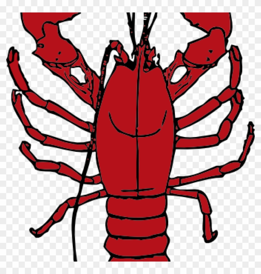 Lobster Clipart Lobster Clip Art Images Clipart Panda - Boston Lobster Clip Art #640473