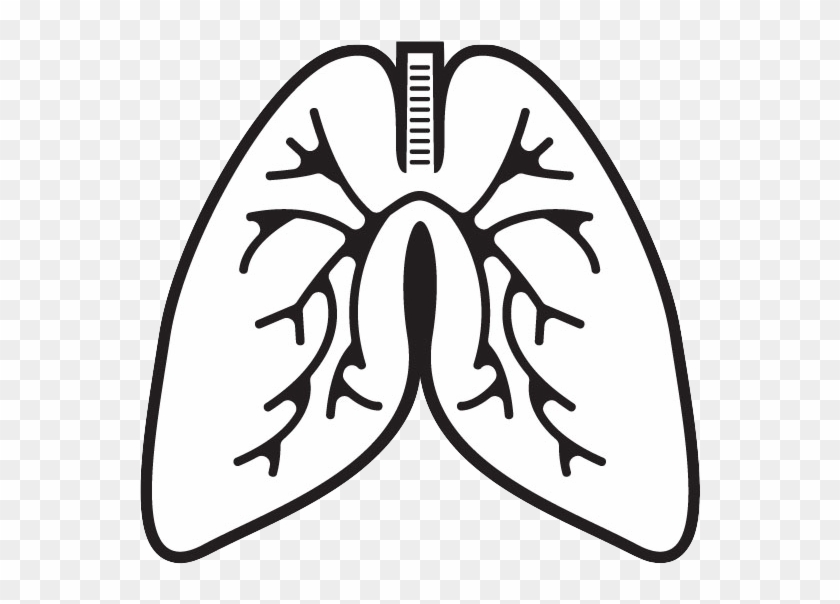 When We Breathe, We Take In - Lungs Clipart Black And White #640520