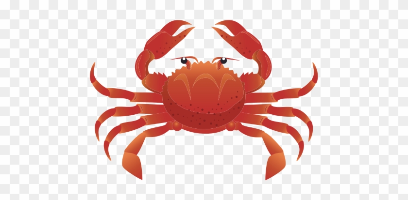 Crab Sea Animal - Animales Del Mar Cangrejo #640522