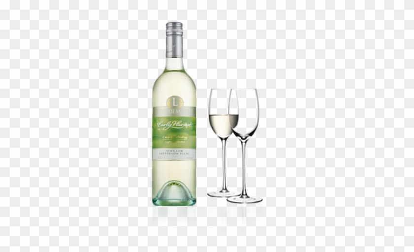 White Wine - Lsa Wine Set Of Four White Wine Glasses #640573