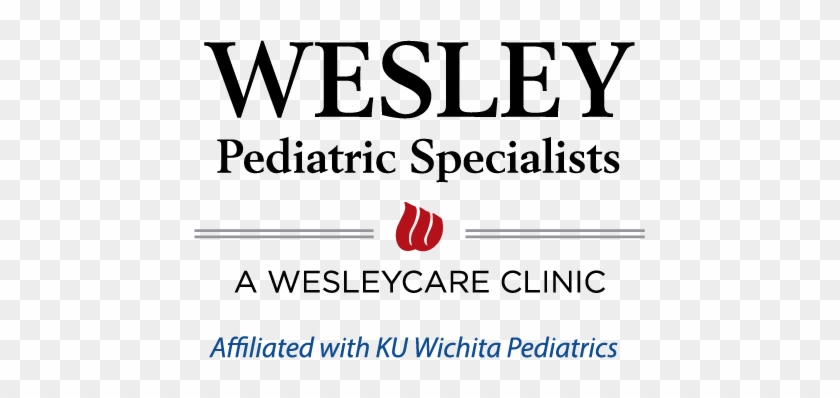 Wesley Pediatric Specialists - Accessories - Boeing 767-300 Span Air- 1:144 -flightpath #640862