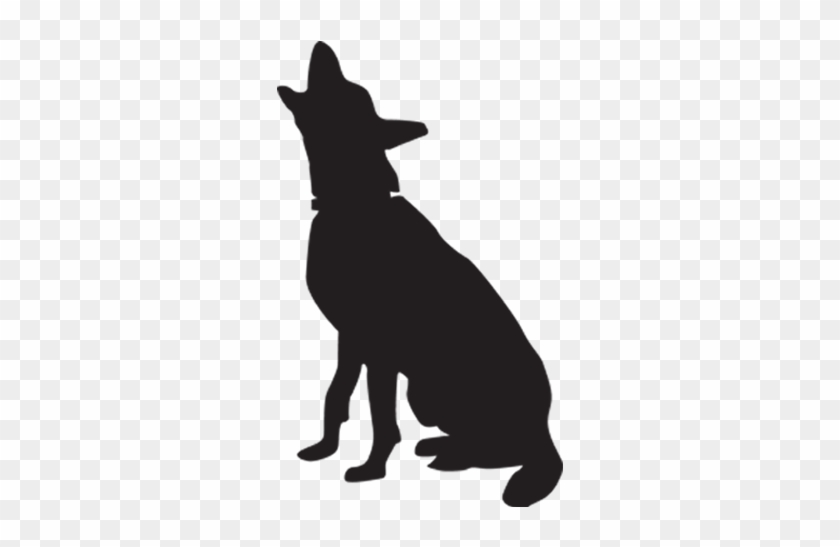 Behavior Training - Dog #641594