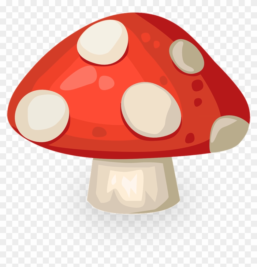 Yeast - Mushroom #642025