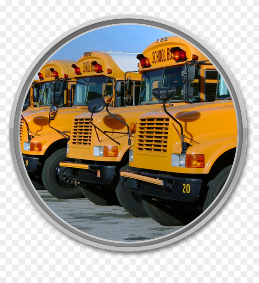 School Bus - Tons Of School Buses #642237