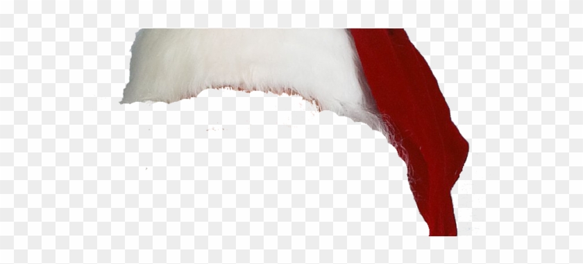 Santa Hat Clipart Transparent Background 37400 Dfiles - Snow #642332