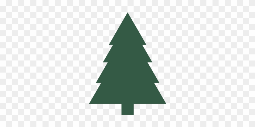 Recology San Mateo County Will Collect Holiday Trees - Christmas Day #642423