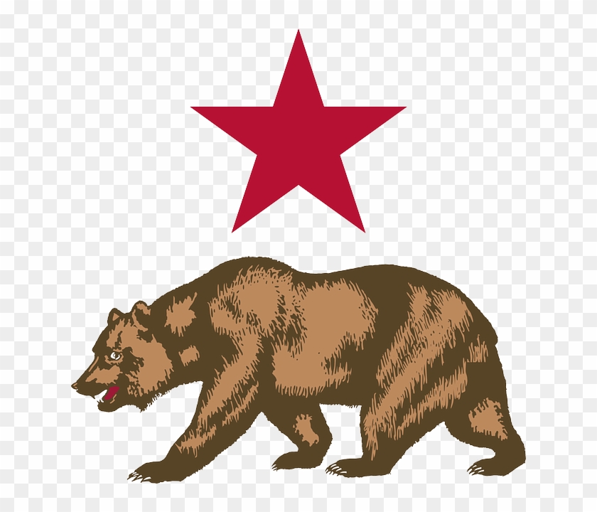Symbol California, Bear, Star, Symbol - New California Republic Flag #642426