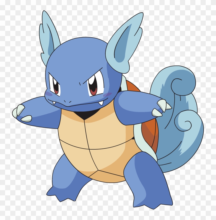 Wartortle Tipo Água - Hot Sale Custom Pokemon Poster Zippered Pillow Case #642498