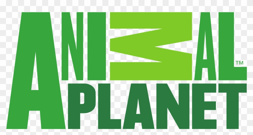 Animal Planet Logo - Animal Planet New Logo #642515