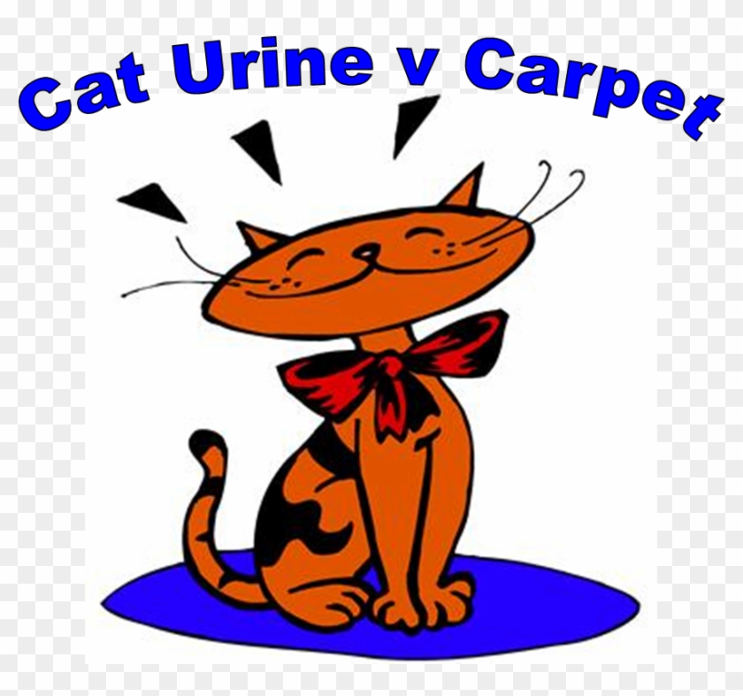 Cat Urine Versus Carpet - Essential Microsoft Office Skills For Teachers And #643042