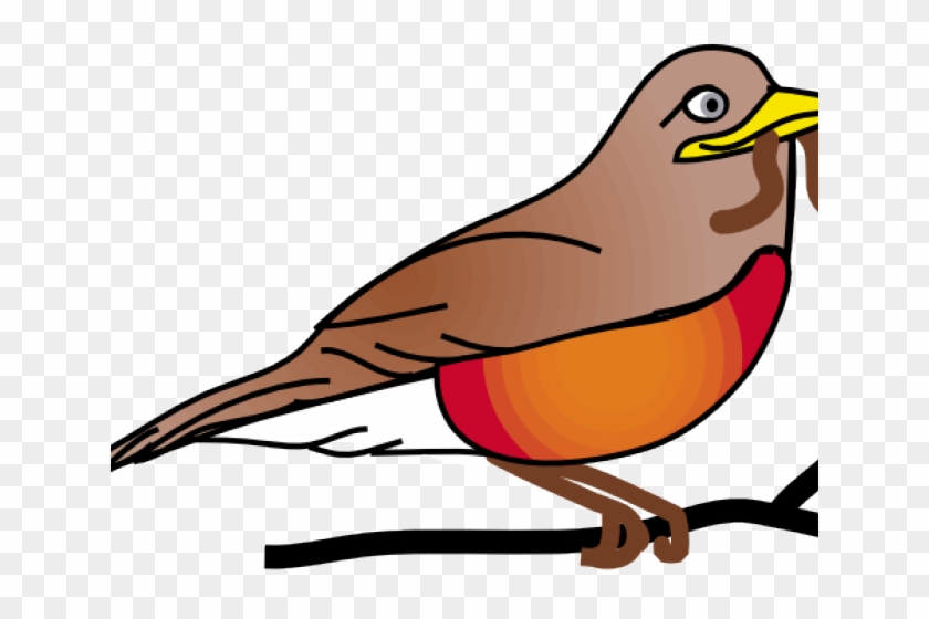 Robin Cliparts - Robin Clip Art #643113